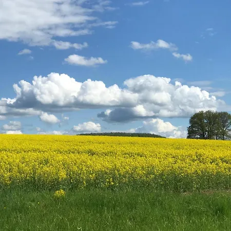 Unter Linden